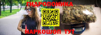 Альфа ПВП Пенза