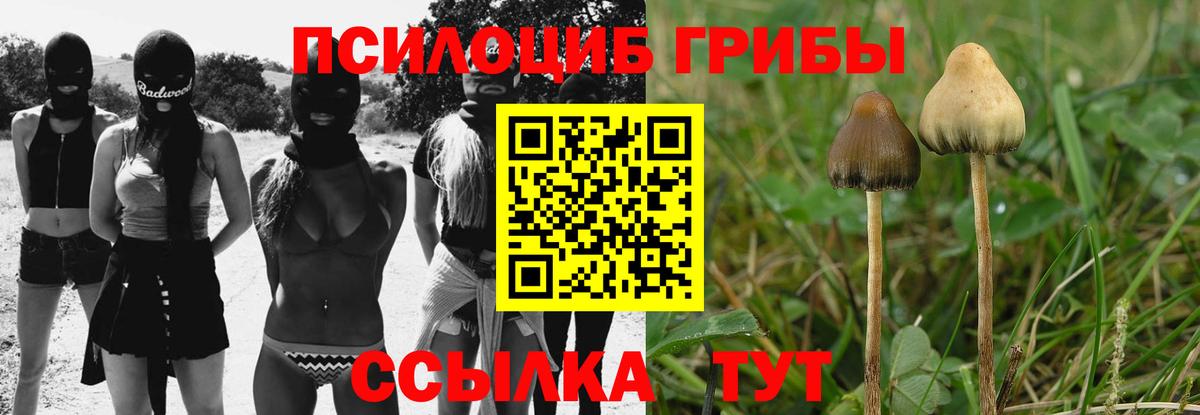 Псилоцибиновые грибы GOLDEN TEACHER Ртищево